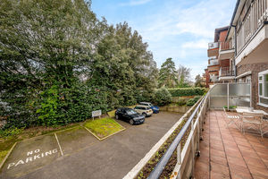 Photo 7- click for photo gallery